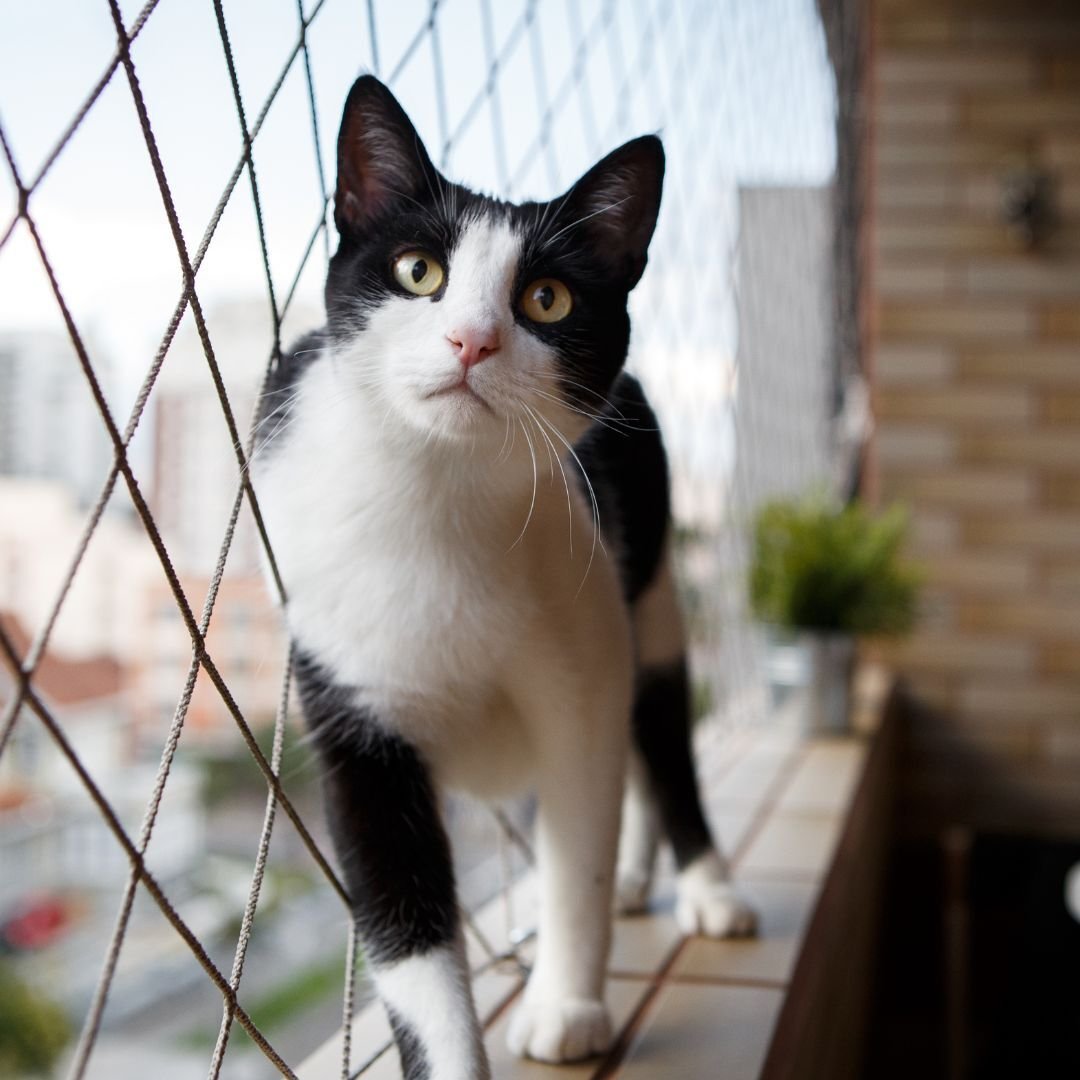 MALLA DE PROTECCIÓN 1.9MM MALLA DE PROTECCIÓN 1.9MM